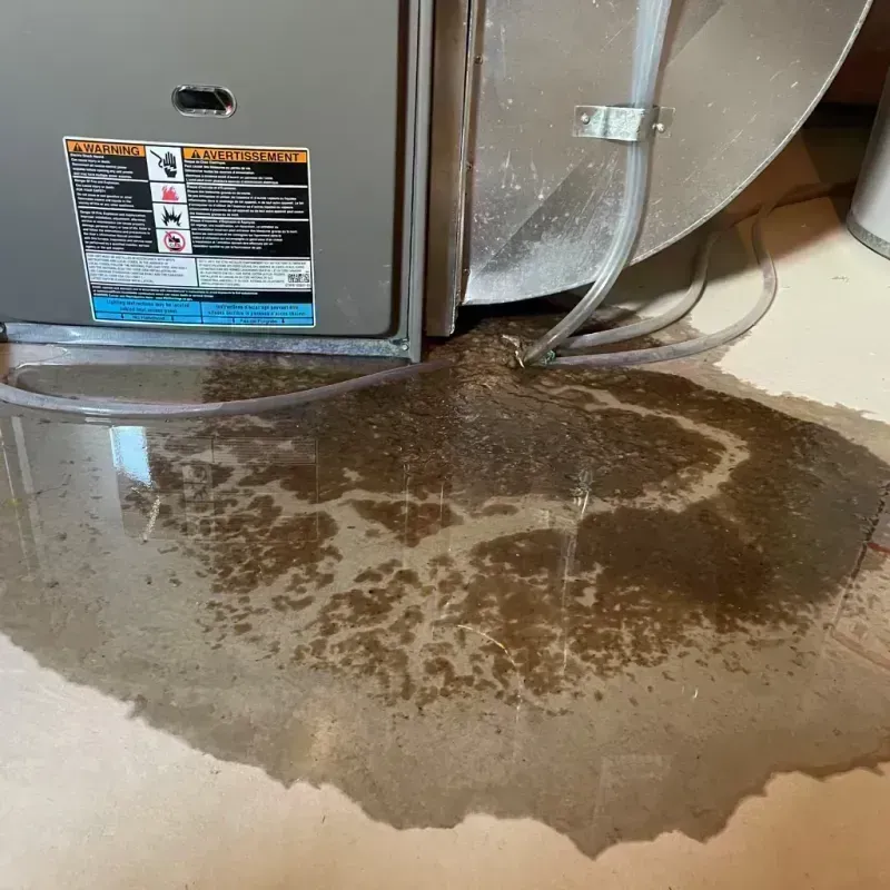 Appliance Leak Cleanup in Black Forest, CO